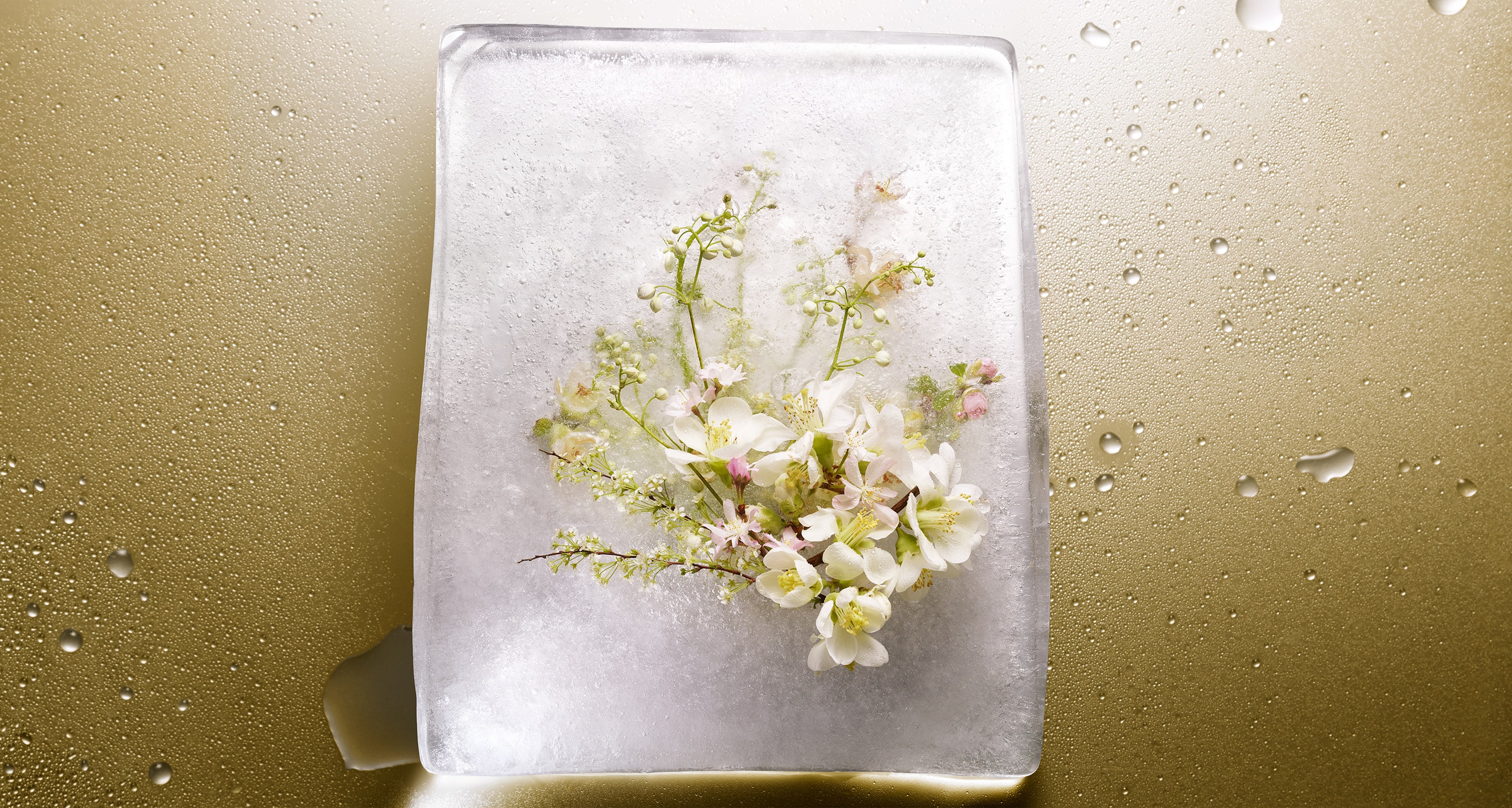 Hennessy Pure White Hennessy