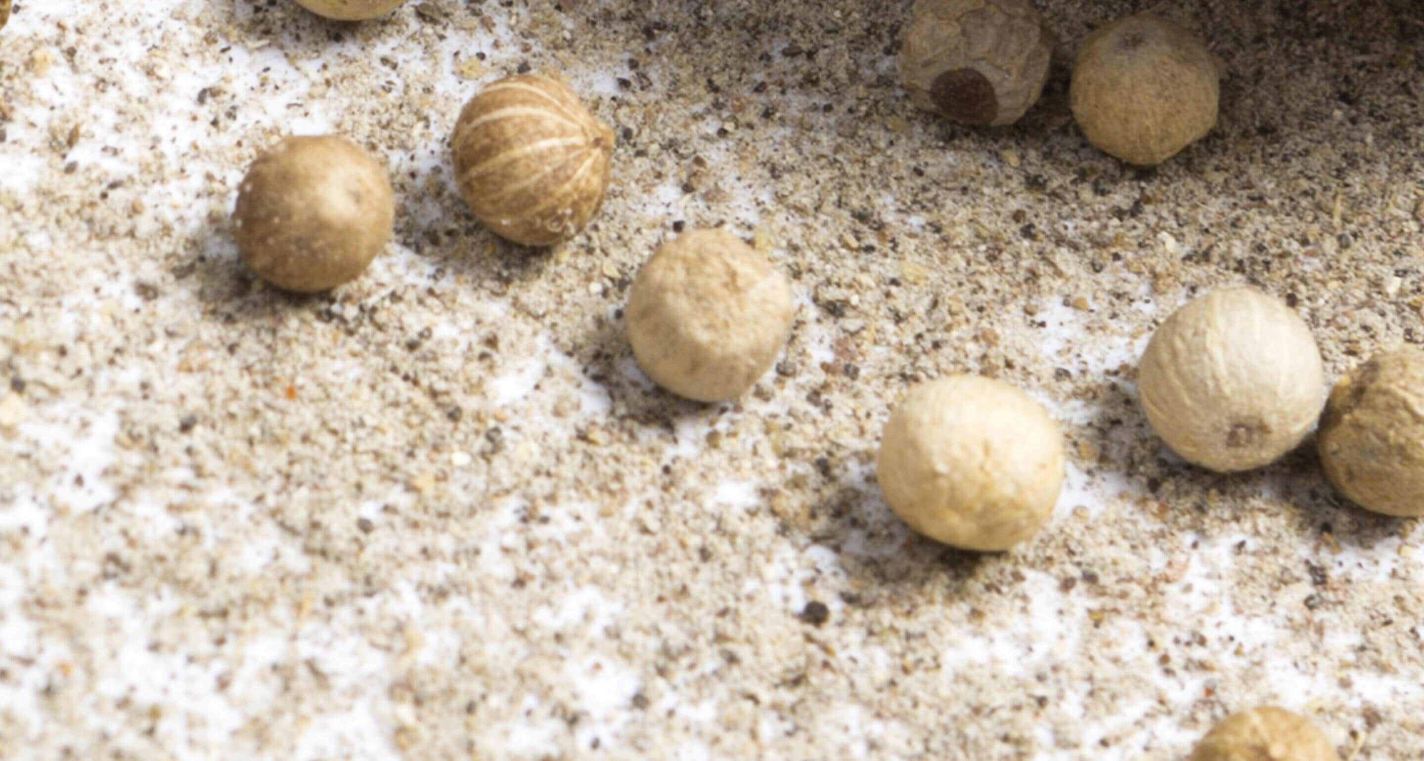 02_tasting_2880x1540