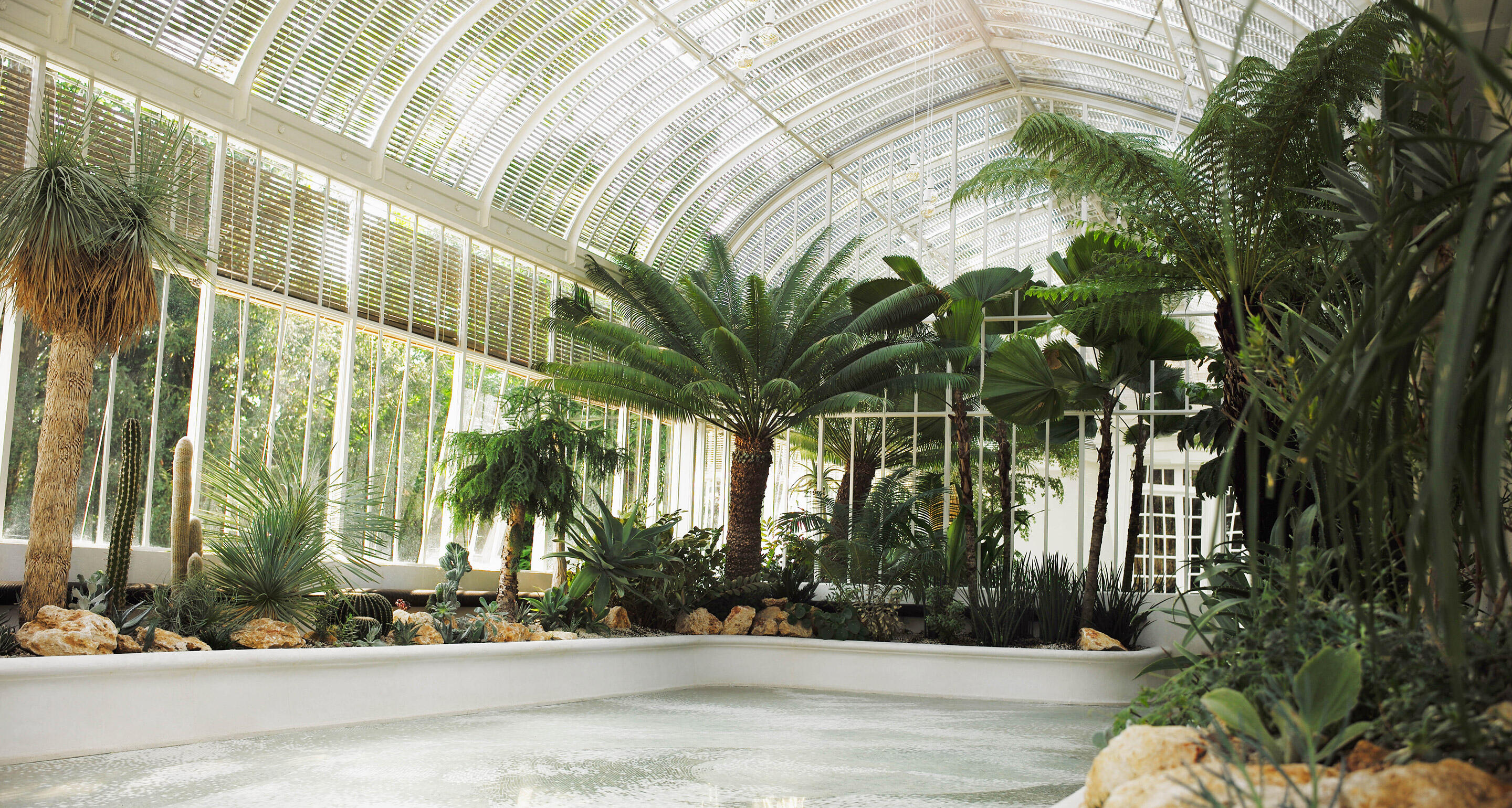 Hennessy’s Winter Garden