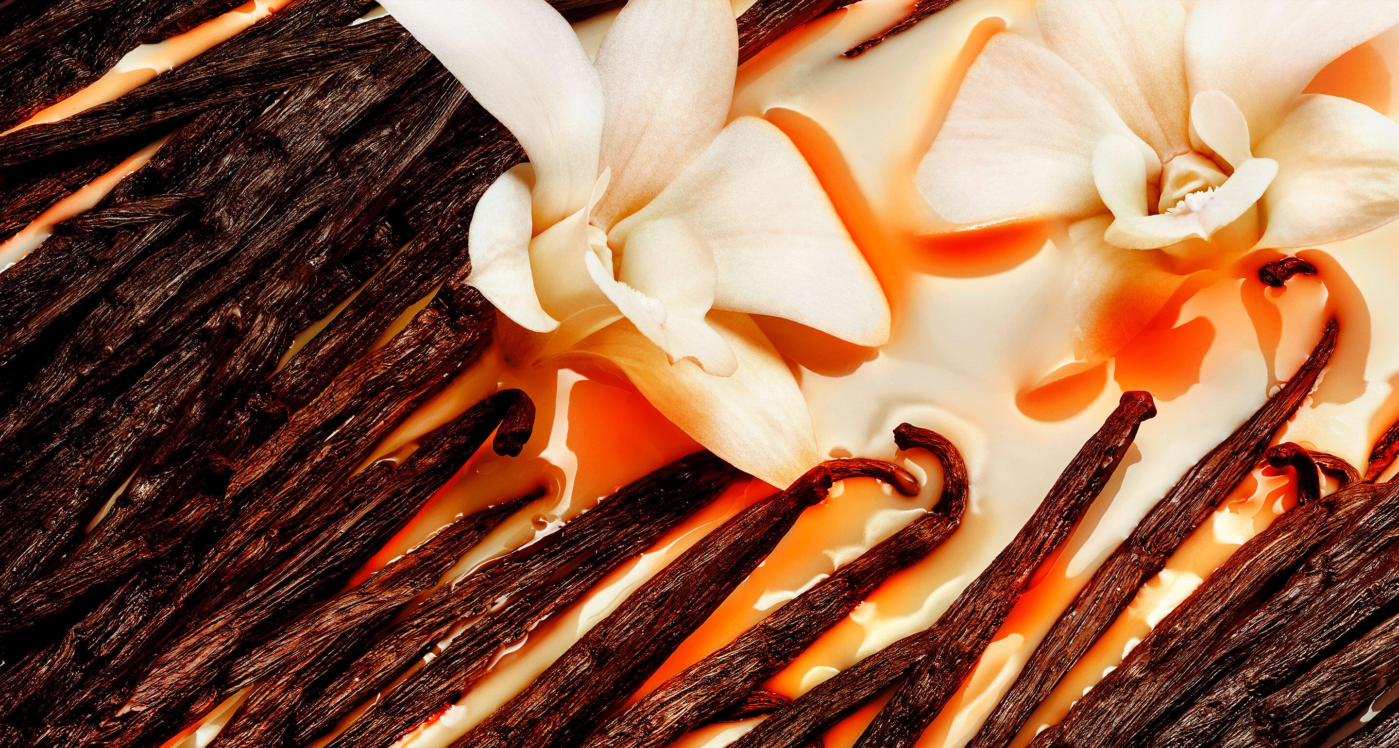 Hennessy-very-special-tasting-notes-palate