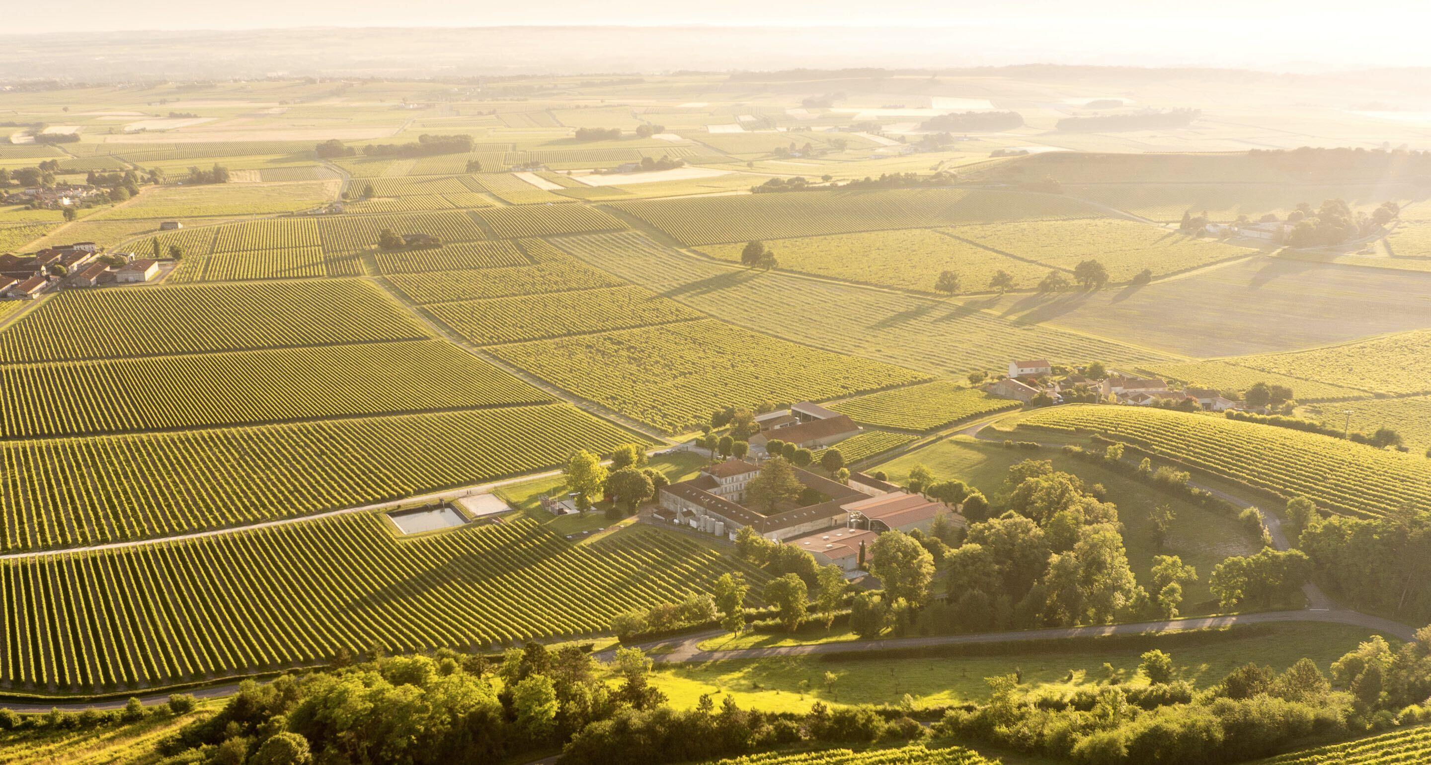 Hennessy carbon emissions 2030