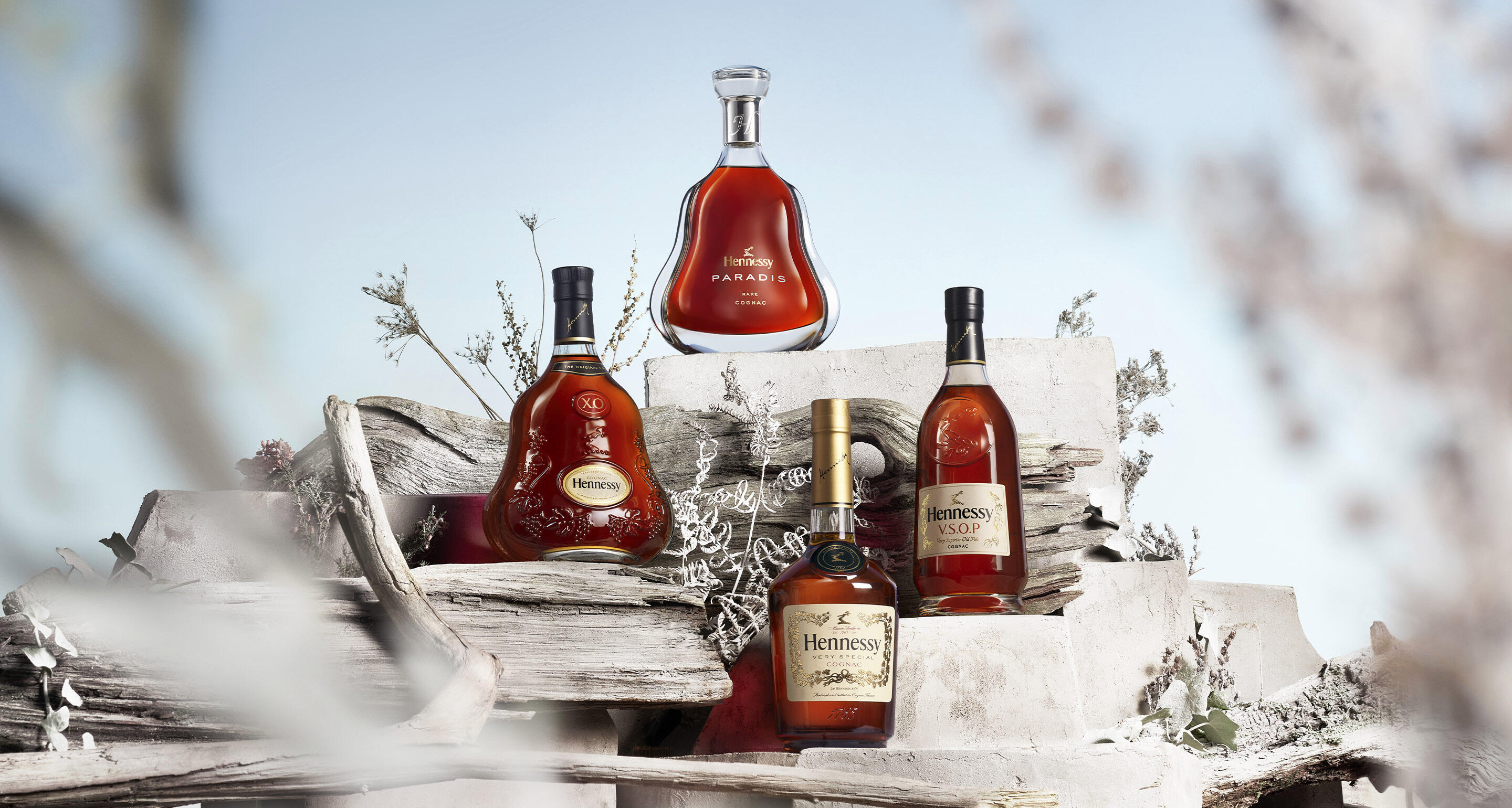 hennessy-e-retail-portfolio-winter-vs-vsop-xo-paradis