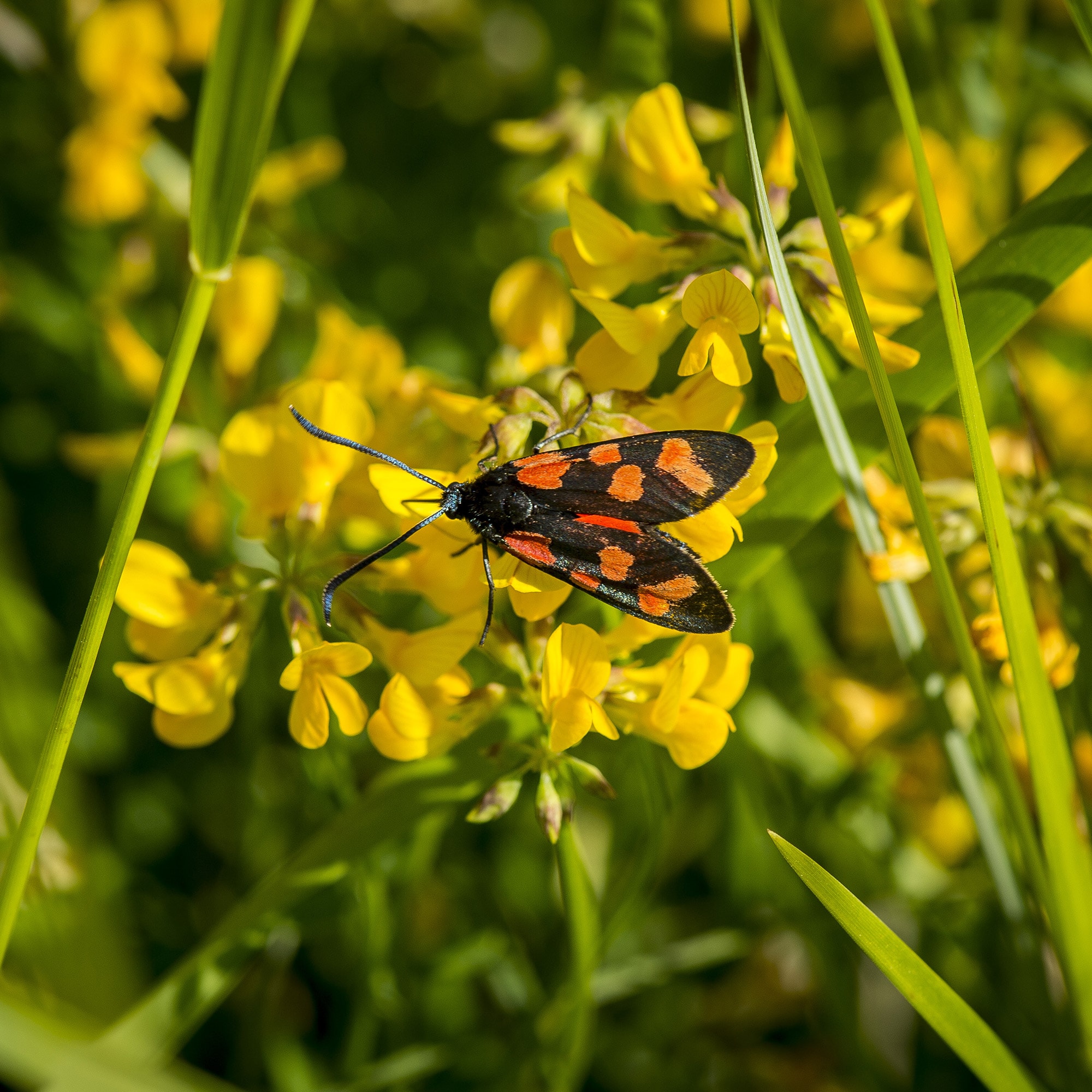 Hennessy Cognac Guided Tour