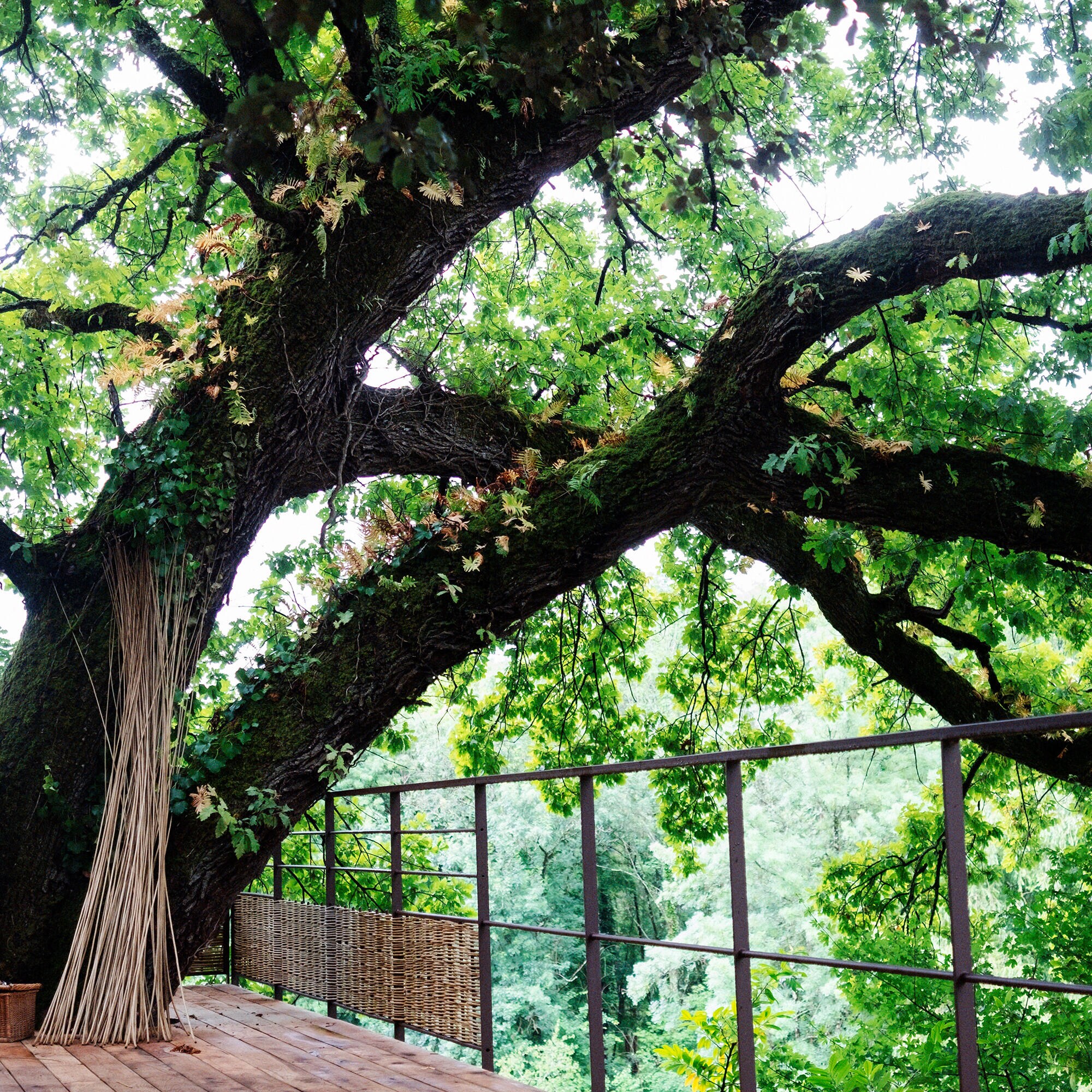 THE CHÂTEAU DE BAGNOLET GARDEN 