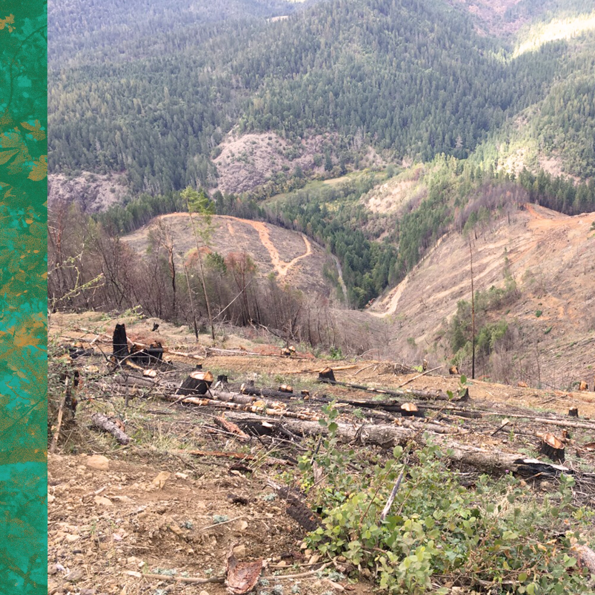 STORIES-UNITED-STATES