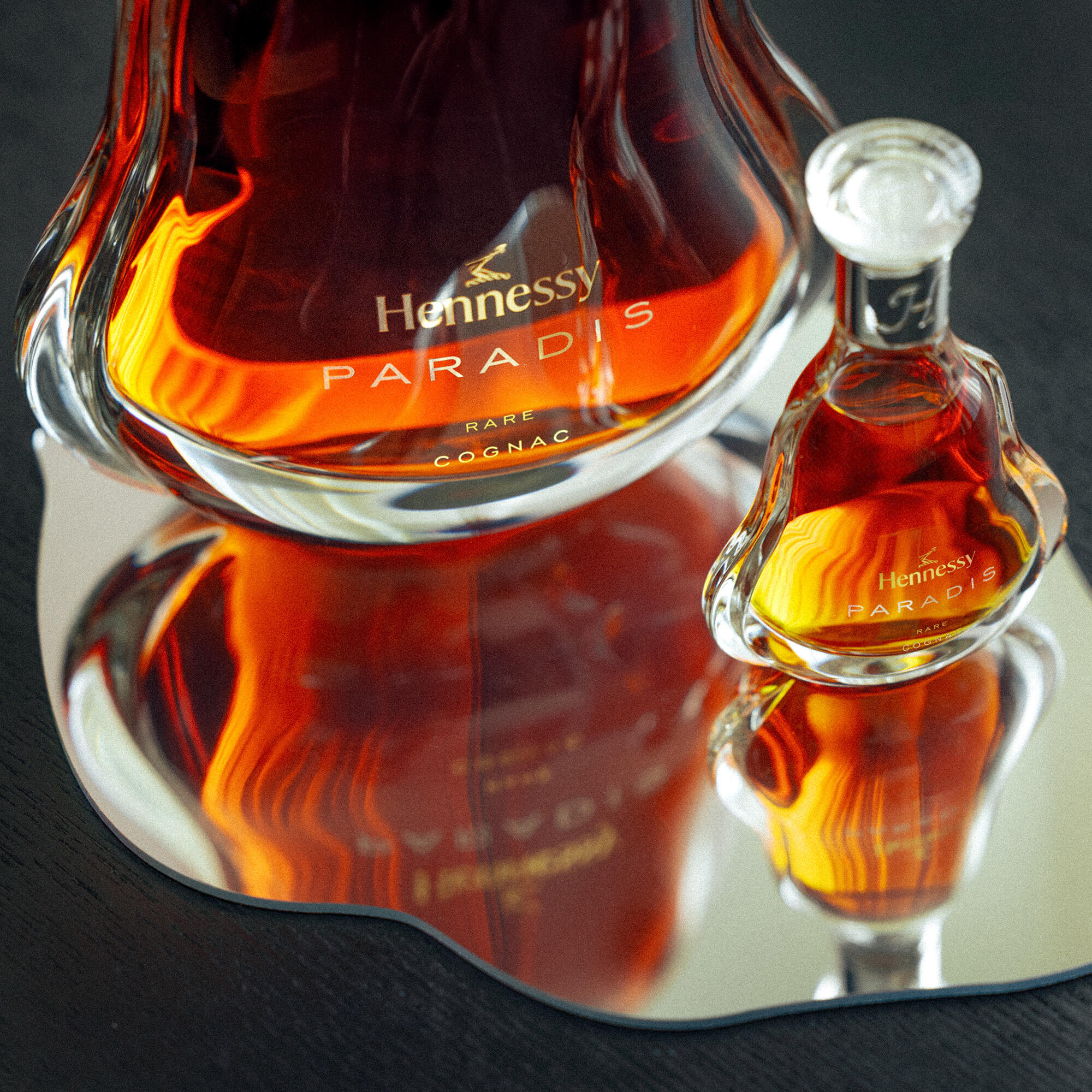 Hennessy Paradis デキャンタセット MY DECANTER MASTERCLASS | Hennessy