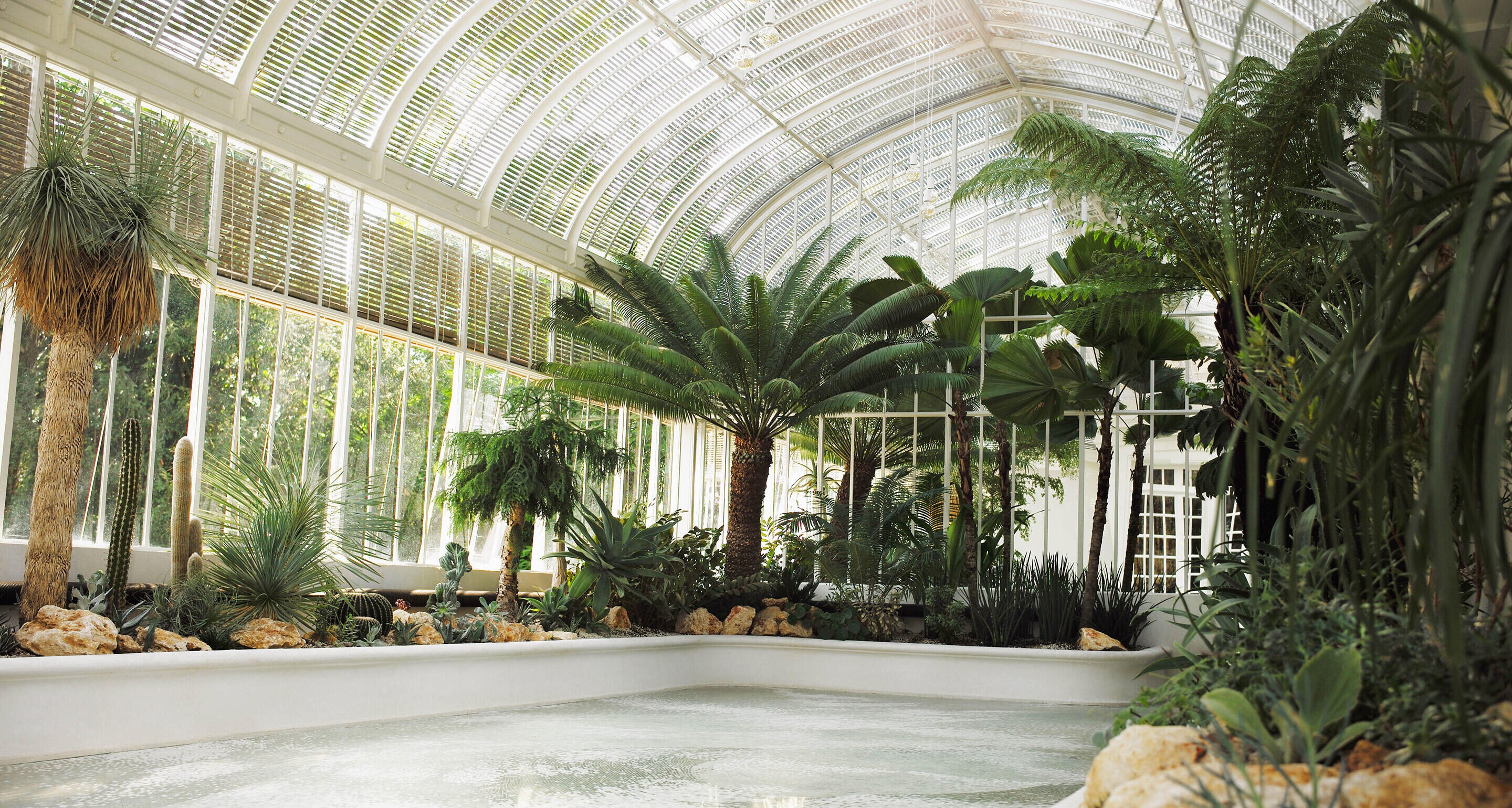 Hennessy’s Winter Garden
