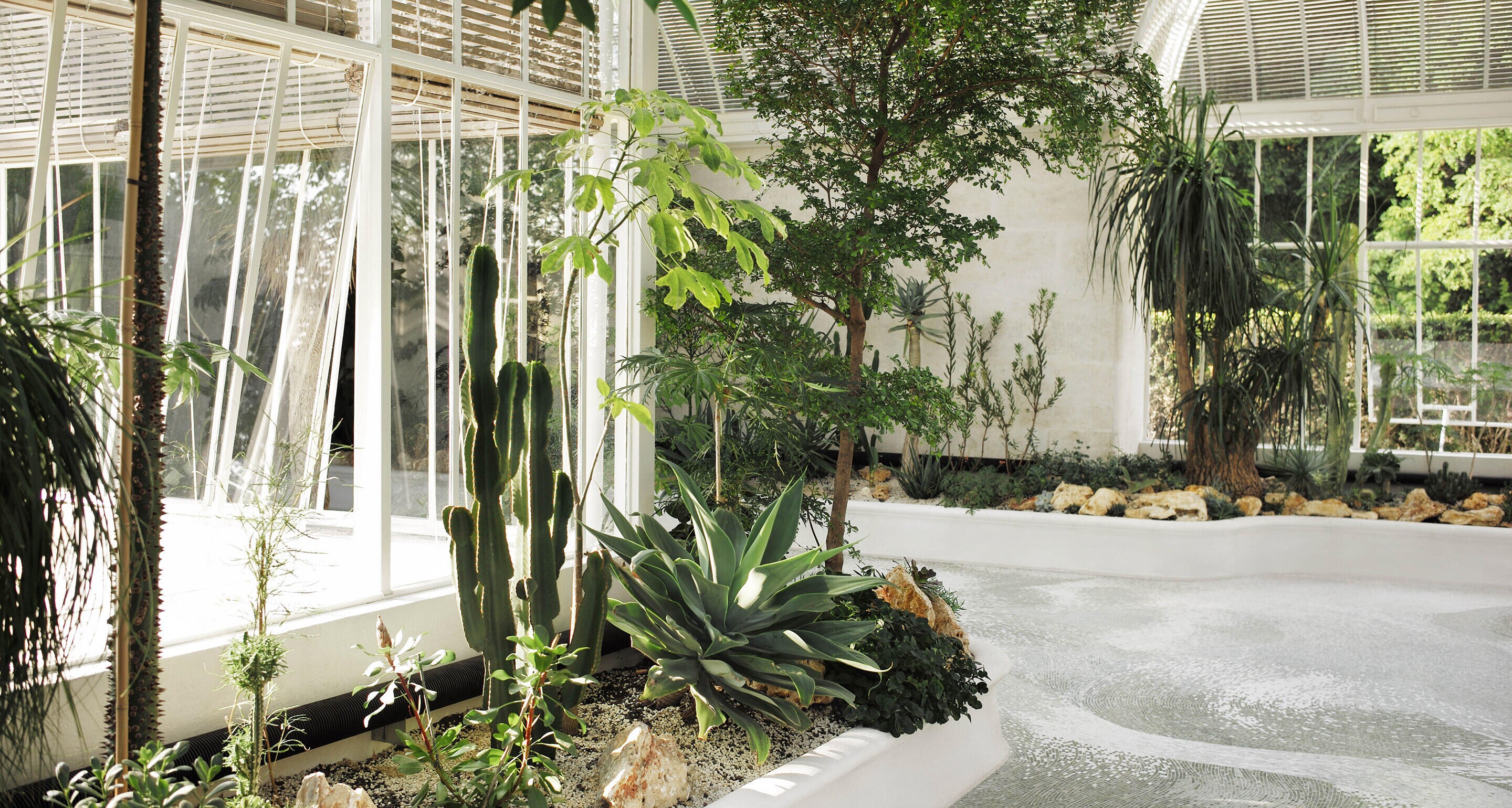 Hennessy’s Winter Garden 