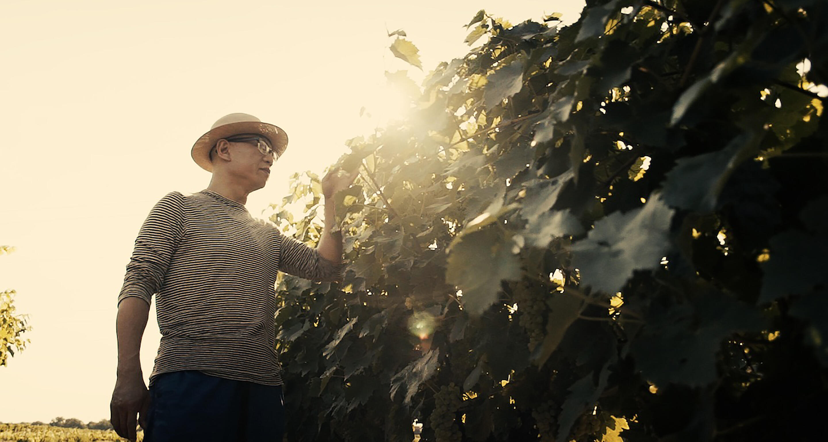 Chinese new year Liu wei