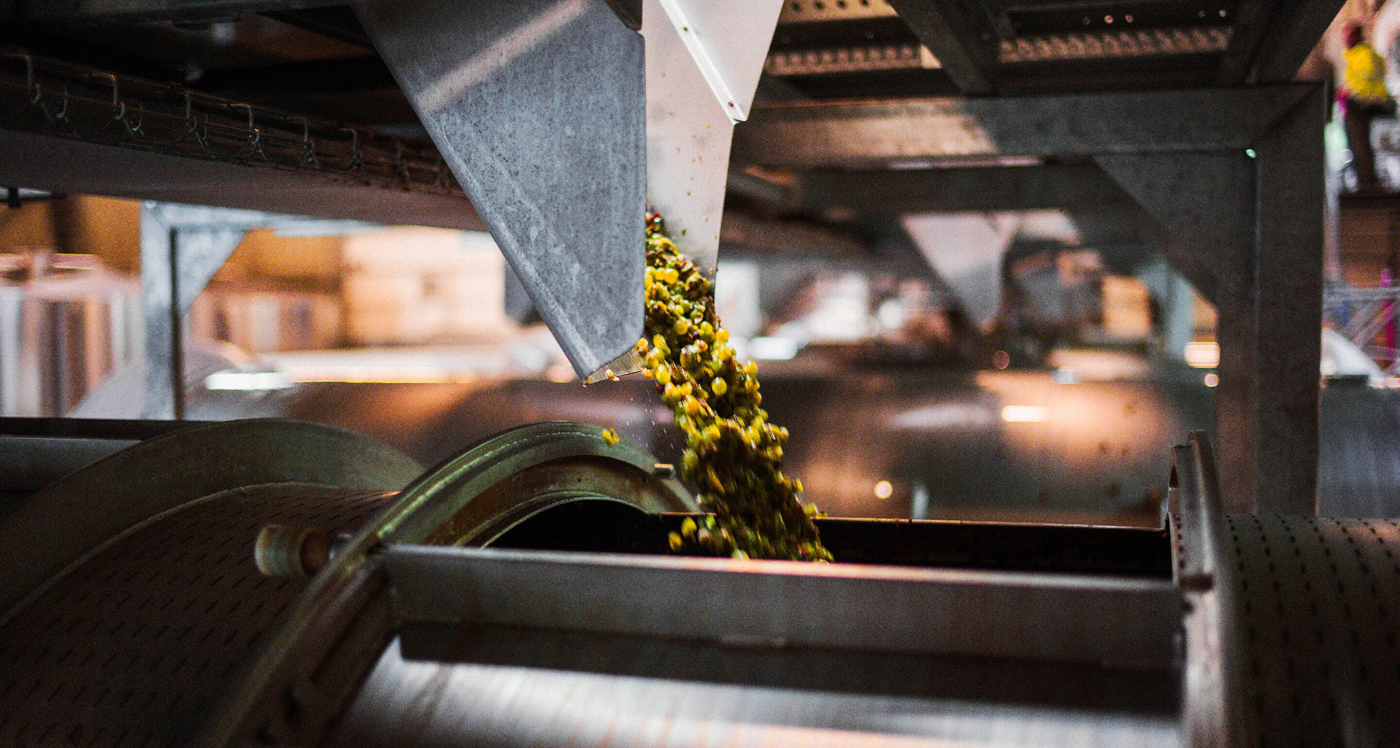 04_circular_economy-_2880x1540 -new