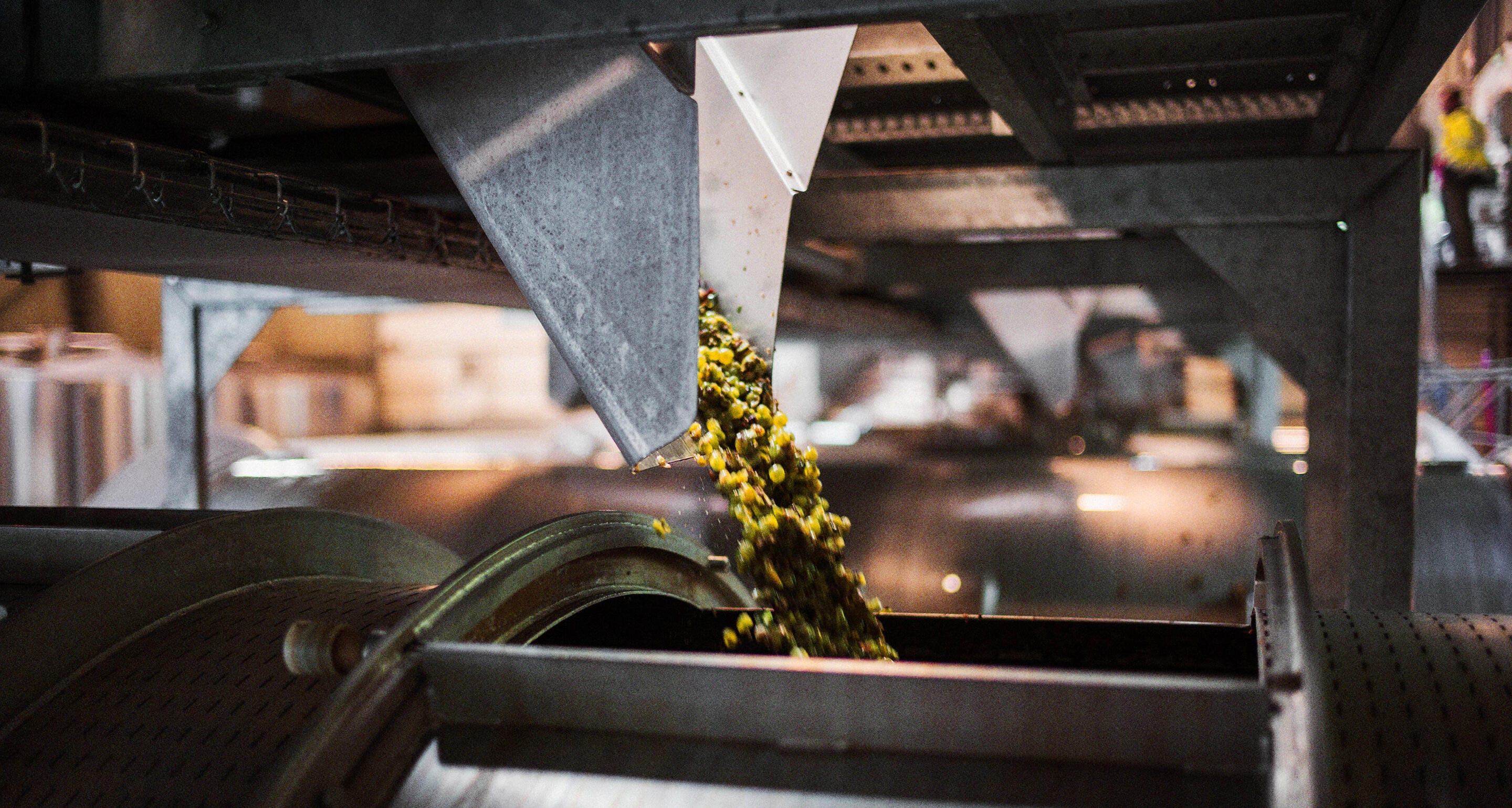 hennessy-vendanges-story-brunet2-lanscape