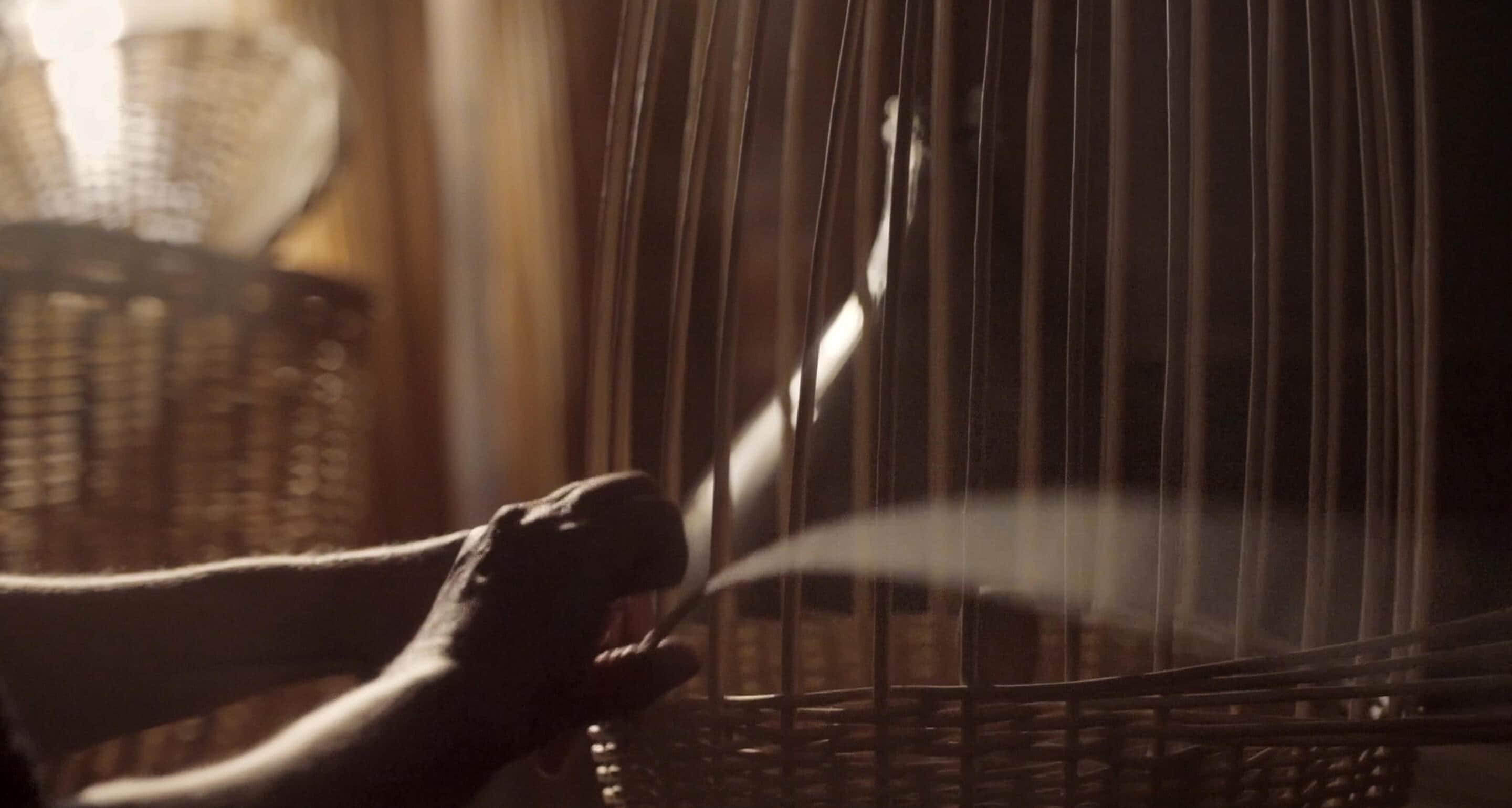 Bonbonnes Dame-Jeanne sur-mesure