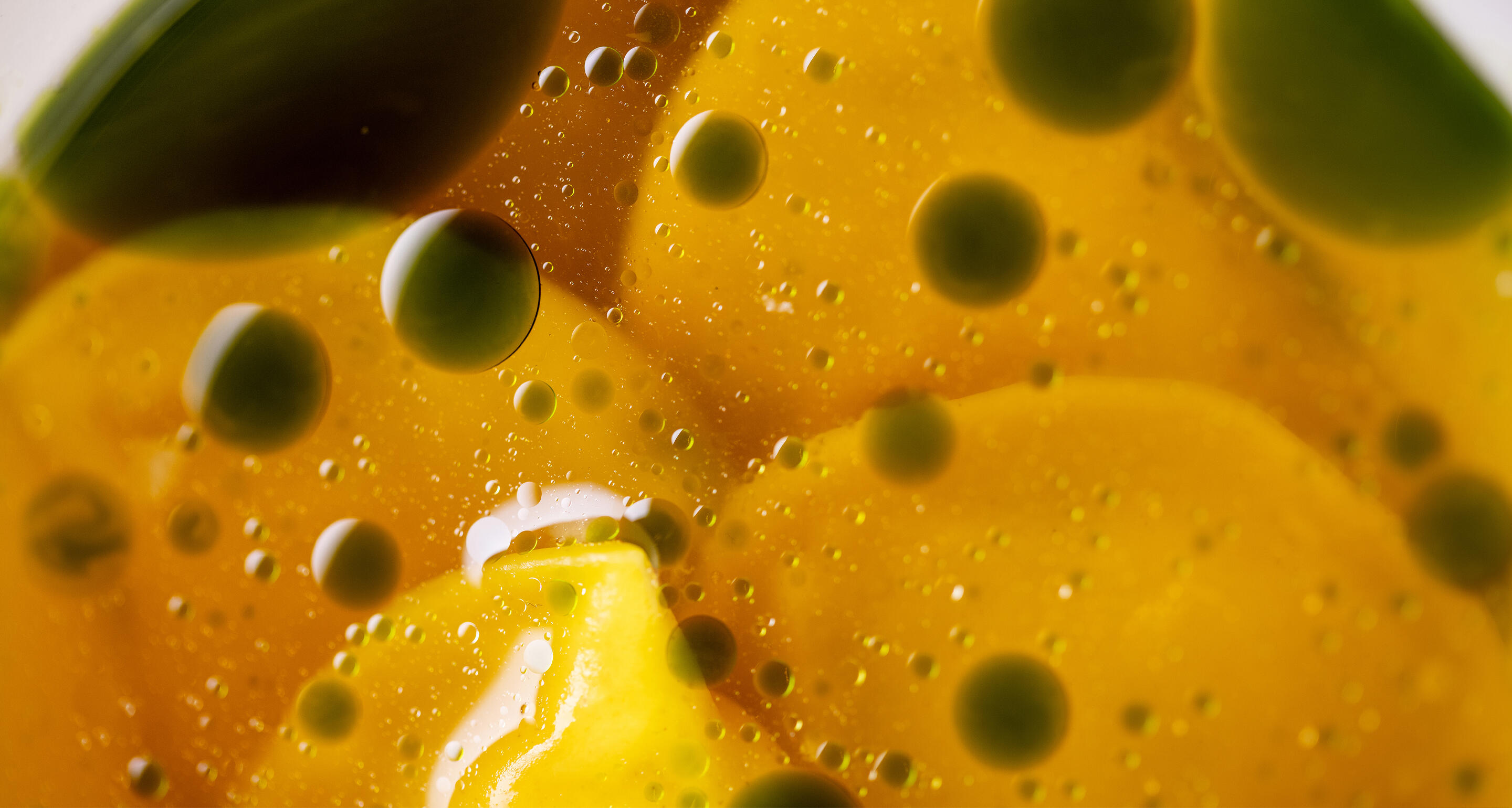 Ravioles potagères, extraction de céleri et navet, perles d’huile vierge