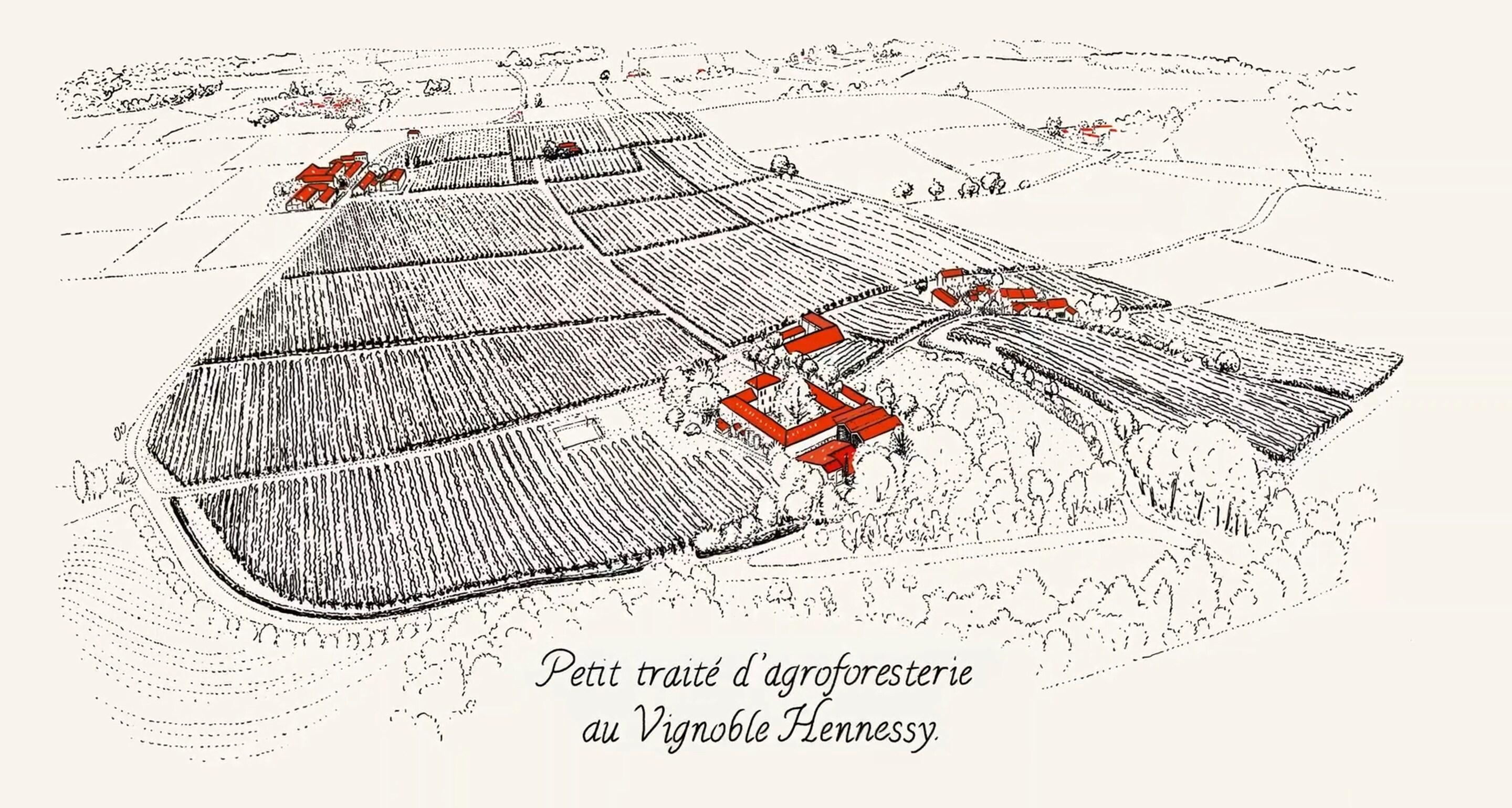 HENNESSY_230515_VIDÉO01