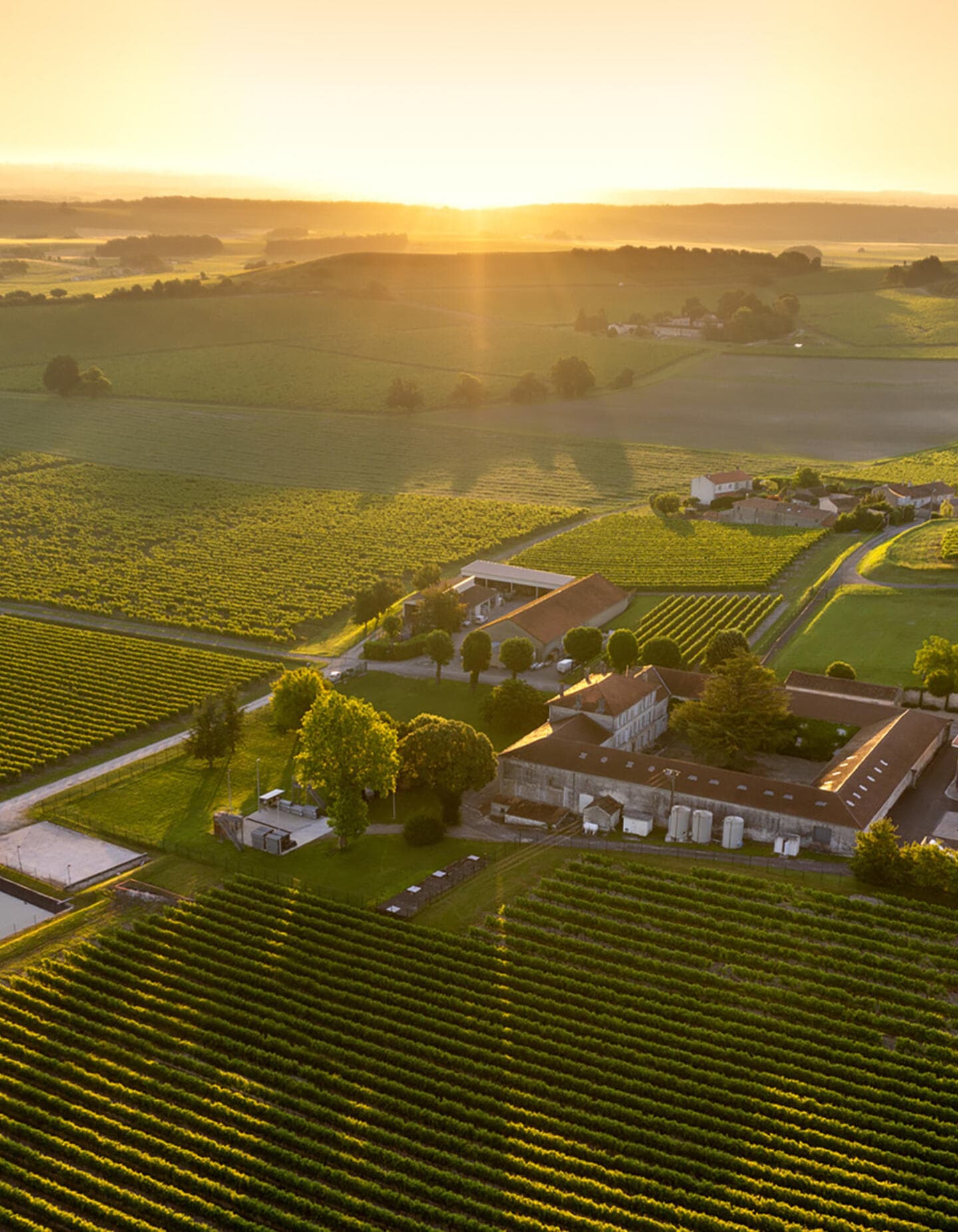 Les Visites Hennessy - La Bataille