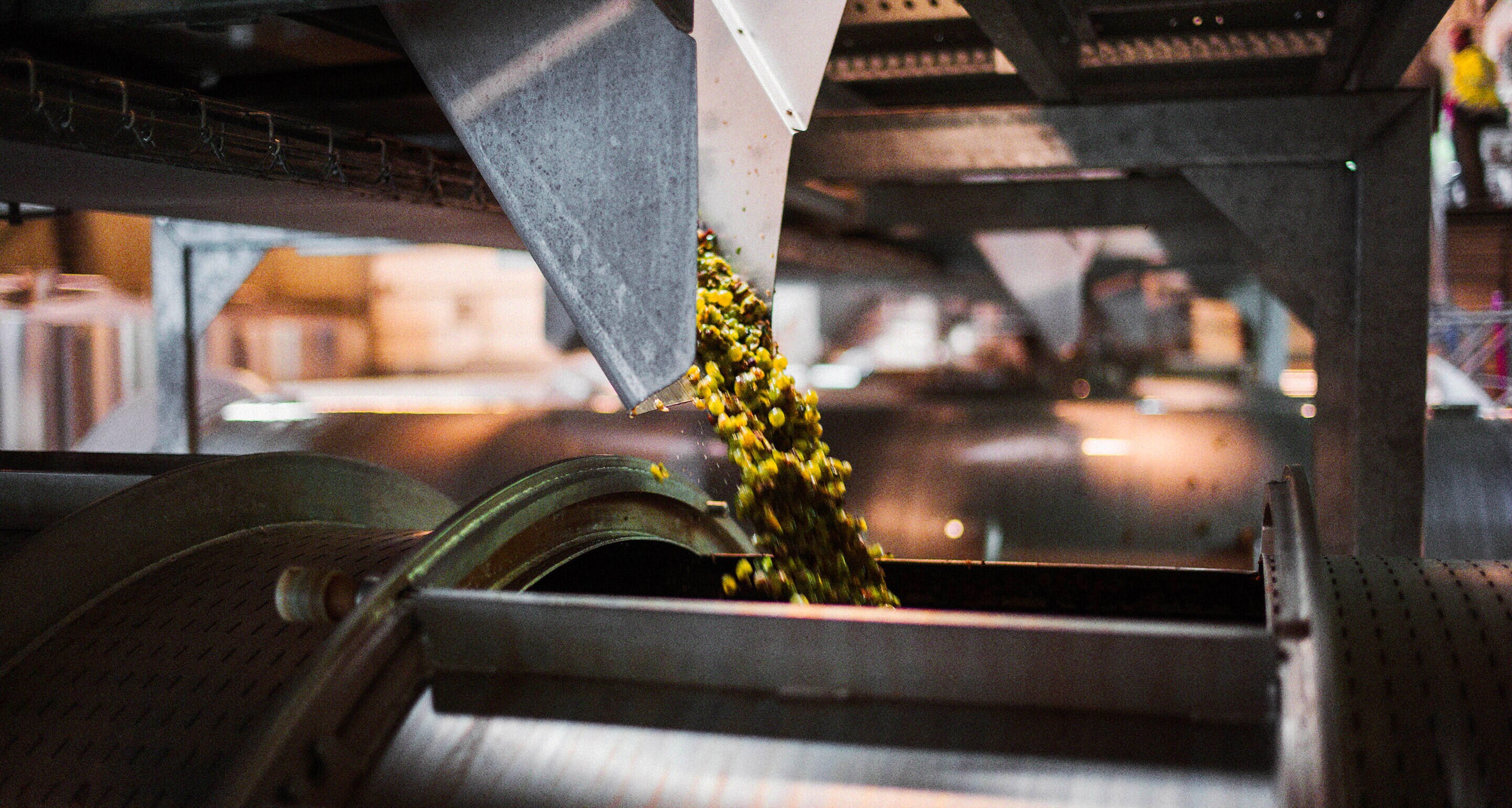 Hennessy circular economy 3