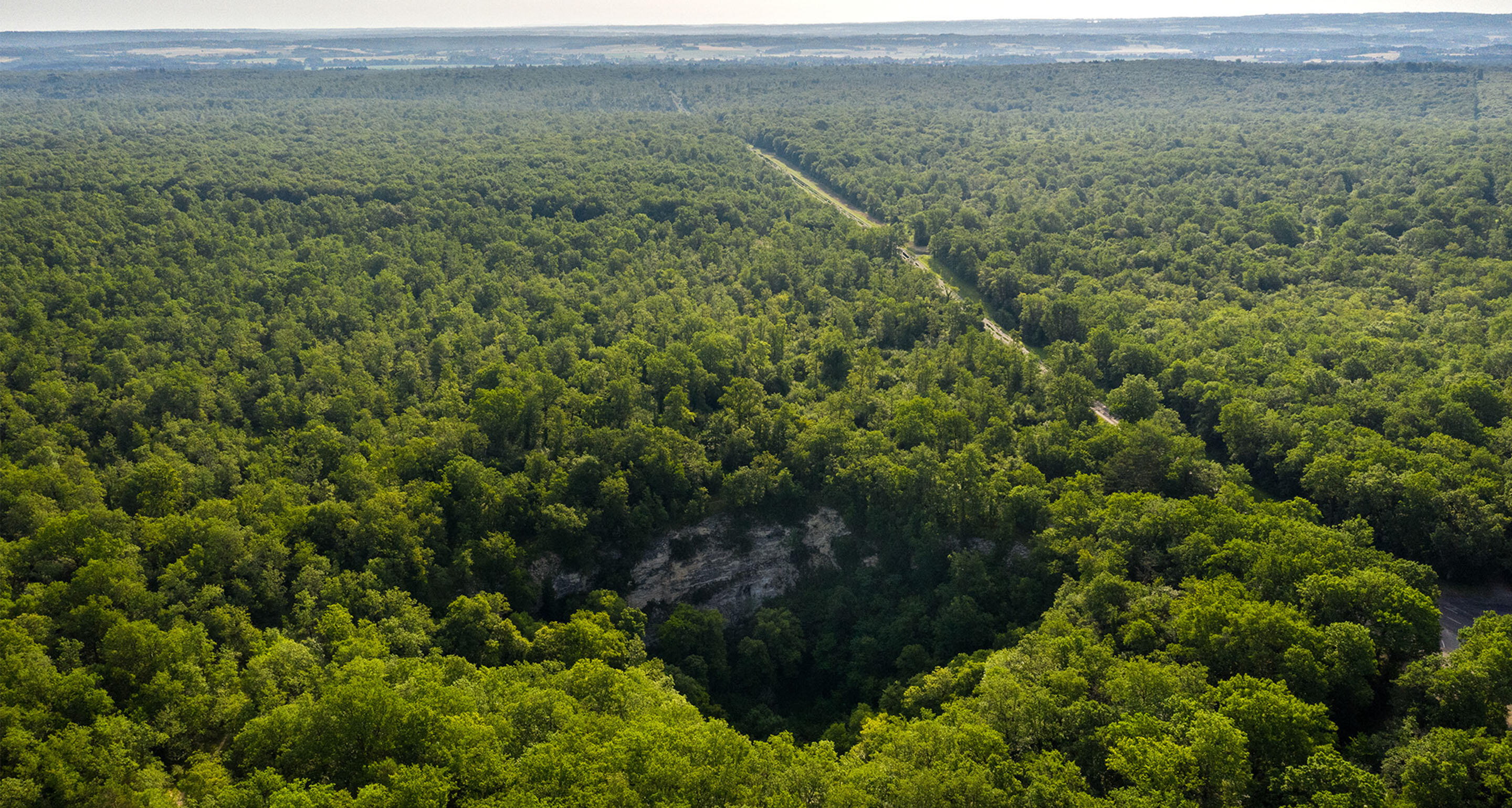 FOREST DESTINATION programme carrousel