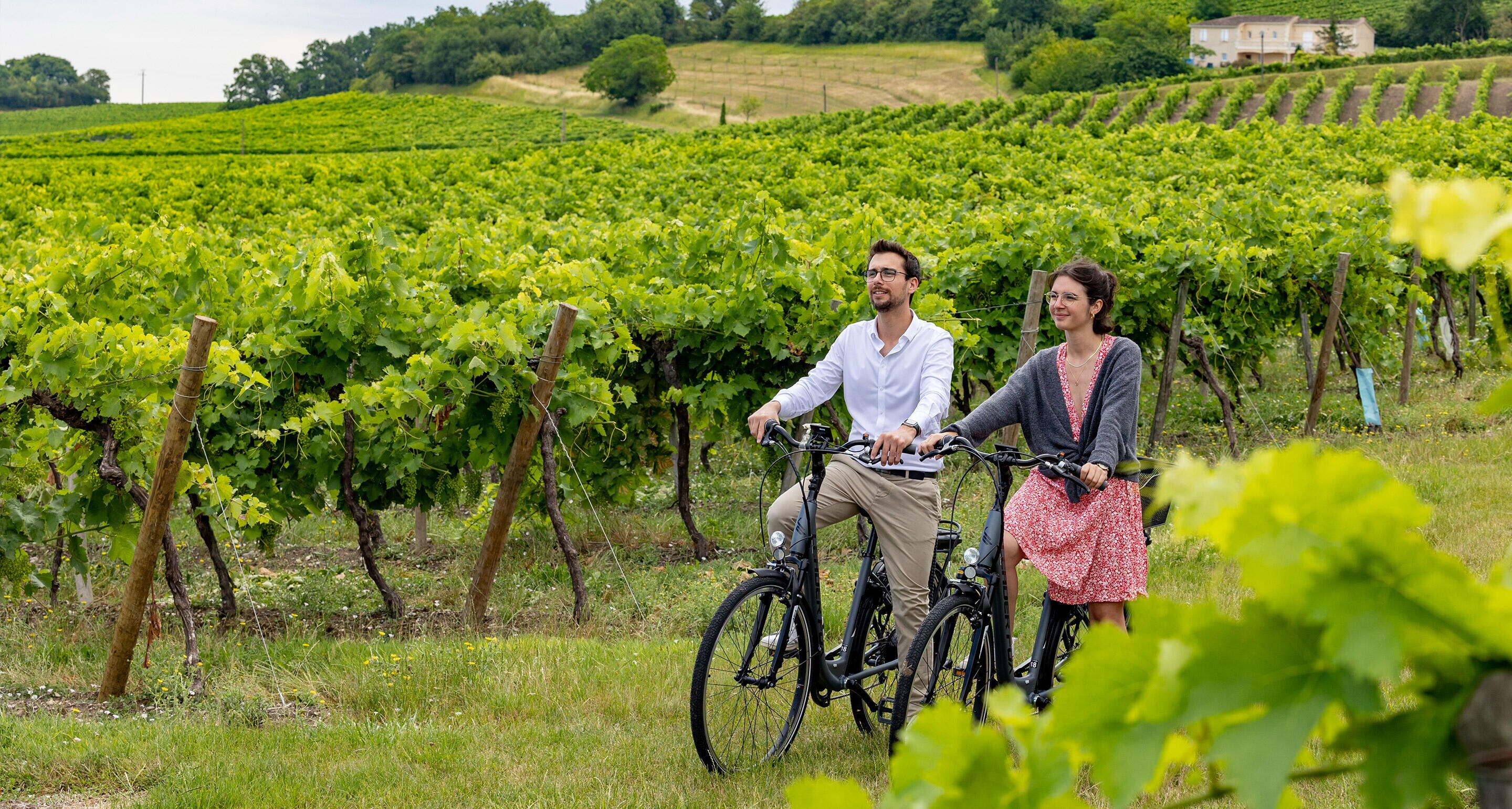 Hennessy Initiation Tour, introduction to cognac for beginners