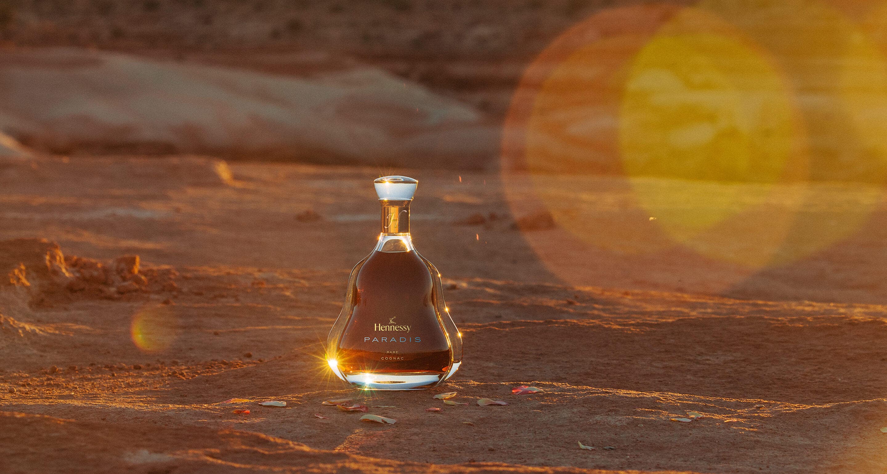 HENNESSY-PARADIS-IS-ON-EARTH