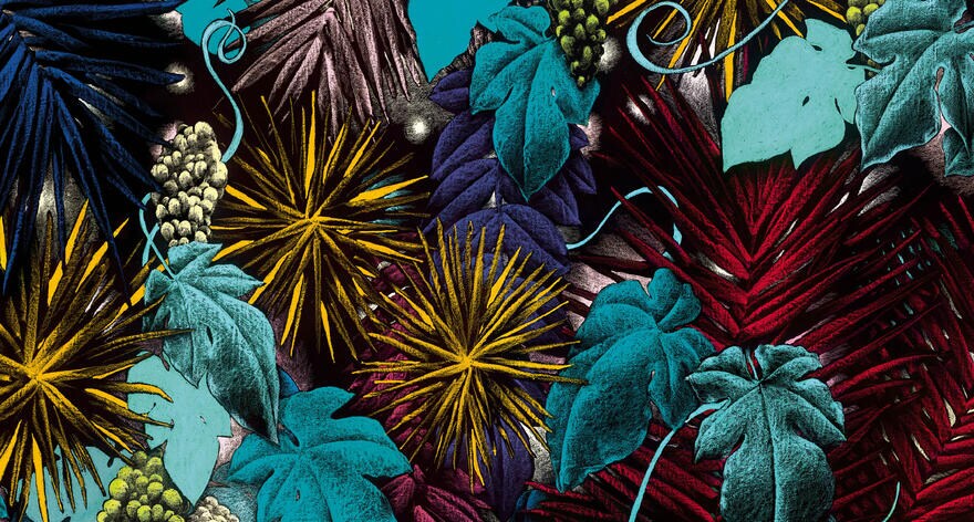 EOY Julien Colombier