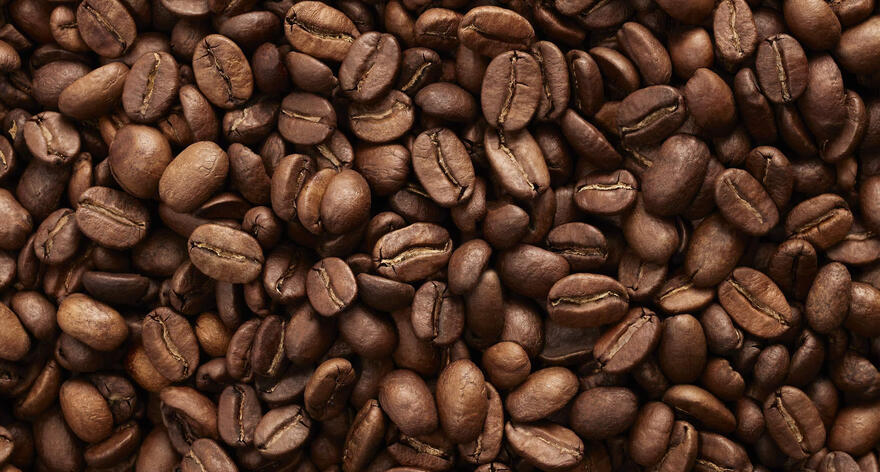 mbs5_tastingnote_coffee