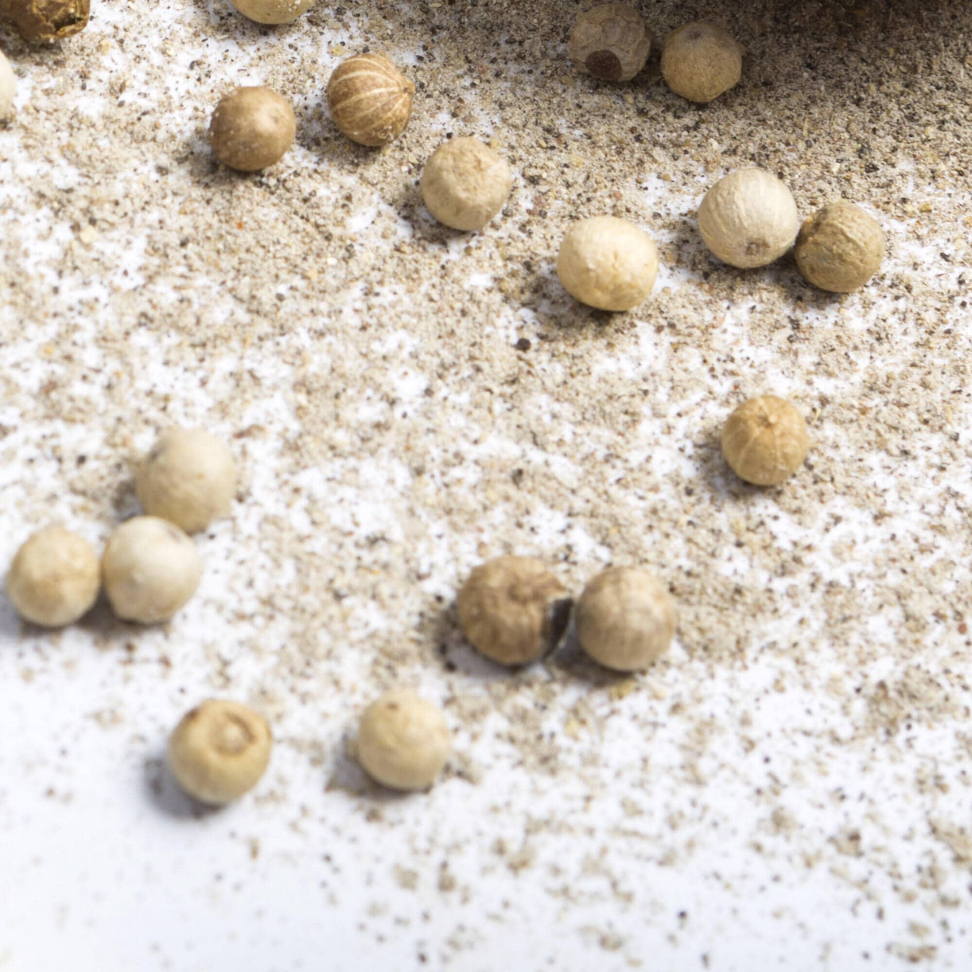 02_tasting_2000x2000